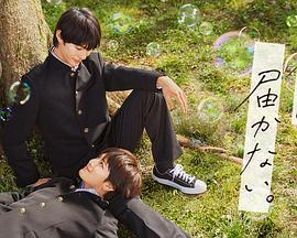 织田真子中出海报剧照