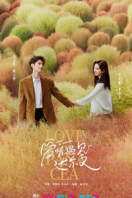 回放美国海报剧照